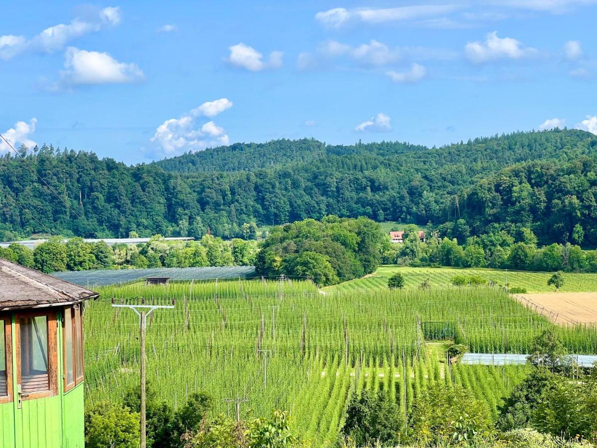 Einzigartiger Panoramablick, Bodensee Und Messe In Der Naehe Tettnang Exterior foto