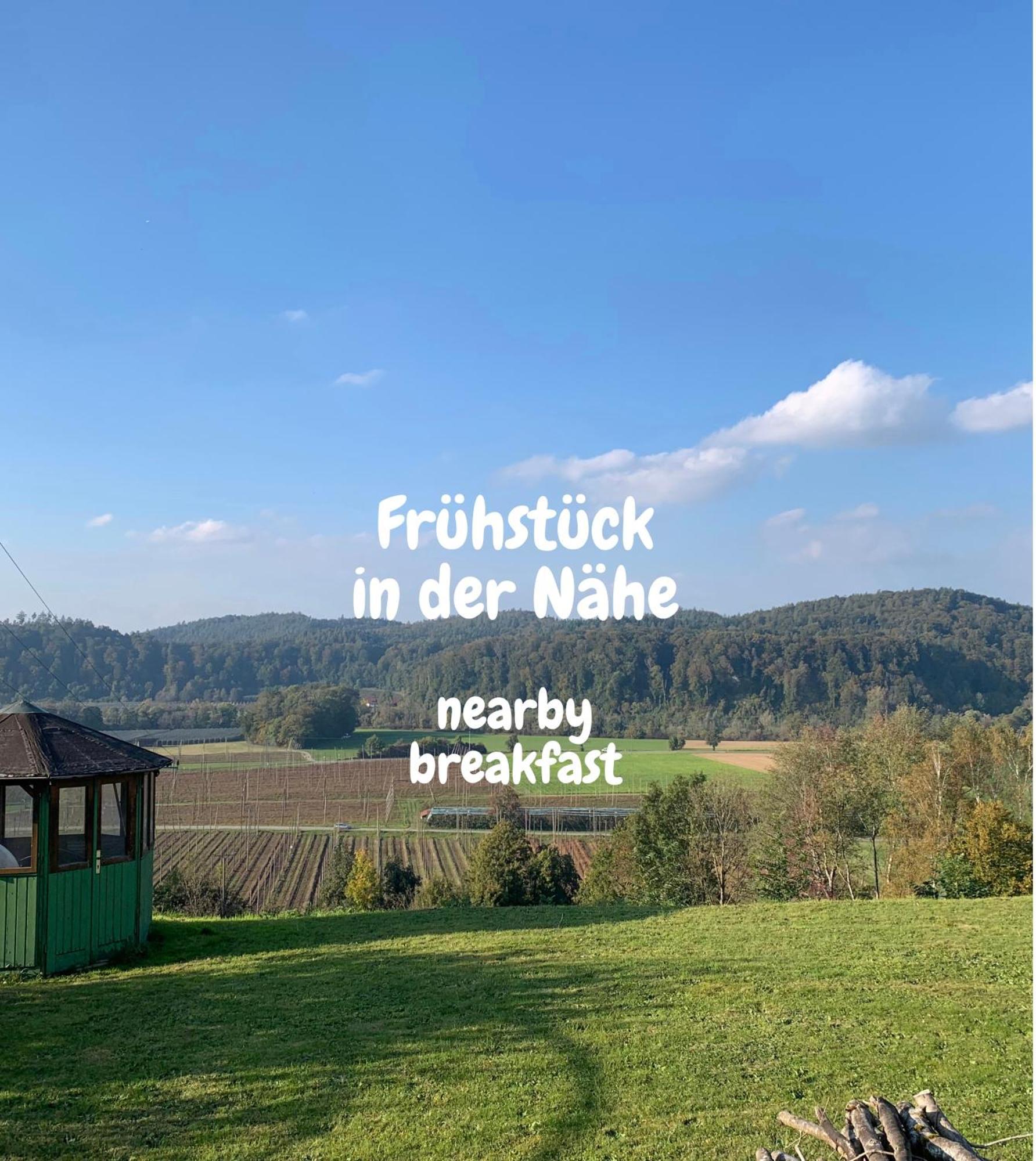 Einzigartiger Panoramablick, Bodensee Und Messe In Der Naehe Tettnang Exterior foto